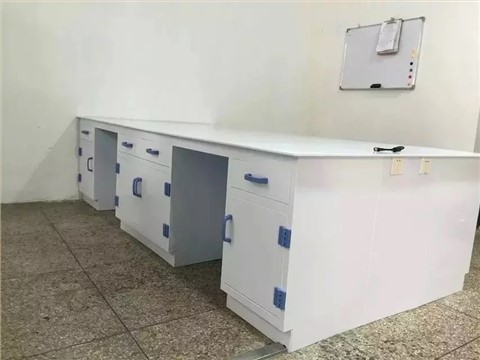 定制型高端实验台