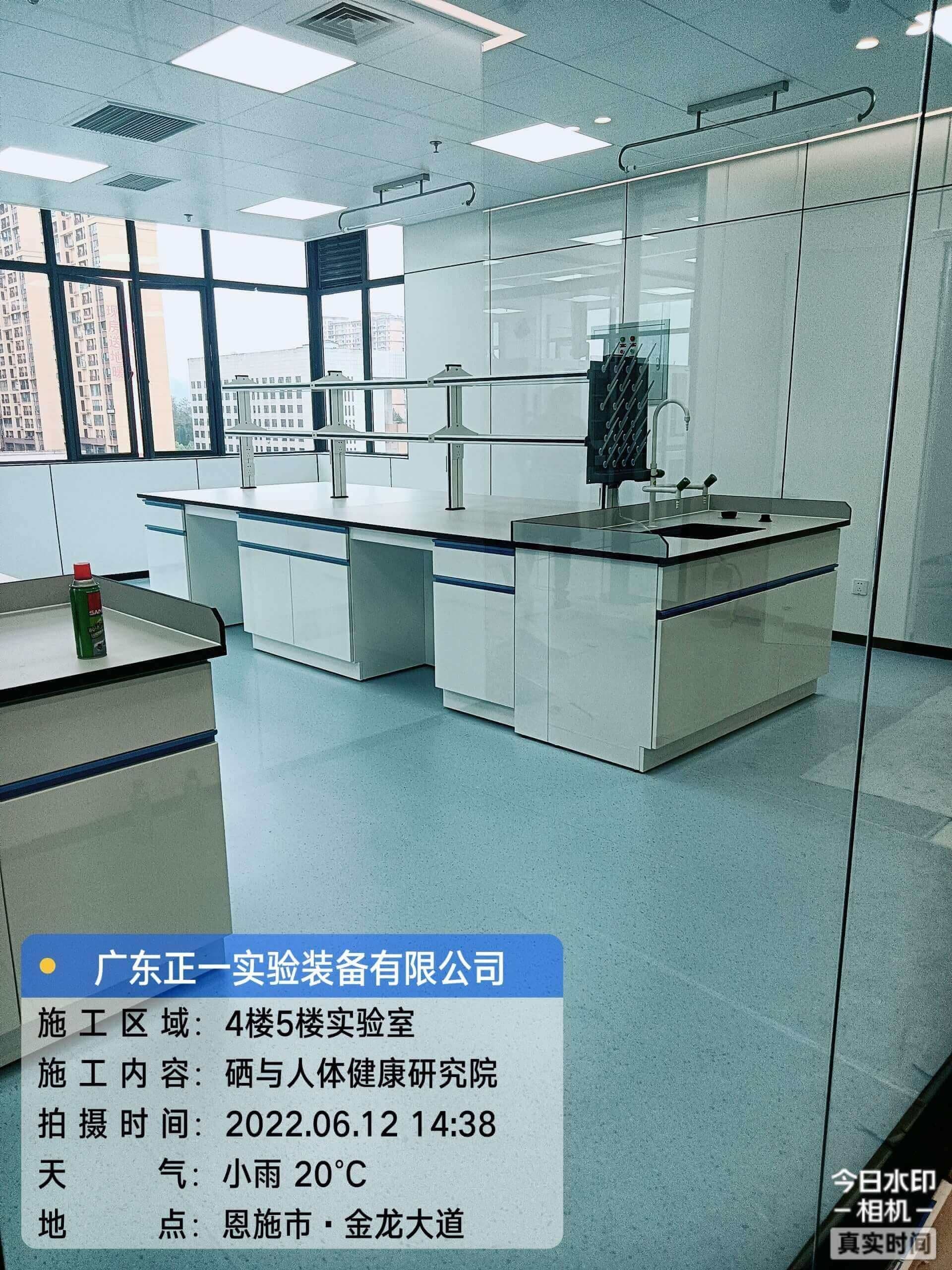 恩州中心医院湖北硒与健康研究院实验室设计、施工一体化项目 (4)