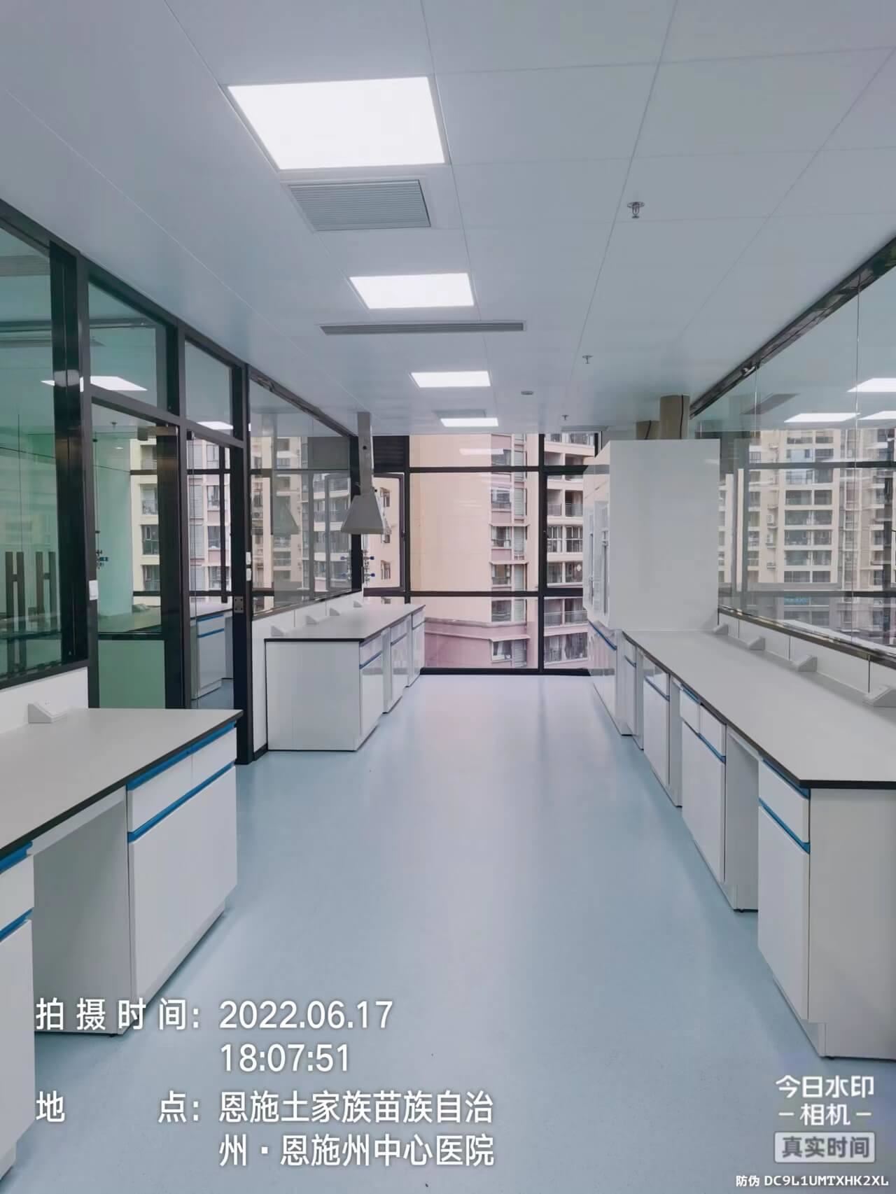 恩州中心医院湖北硒与健康研究院实验室设计、施工一体化项目 (36)