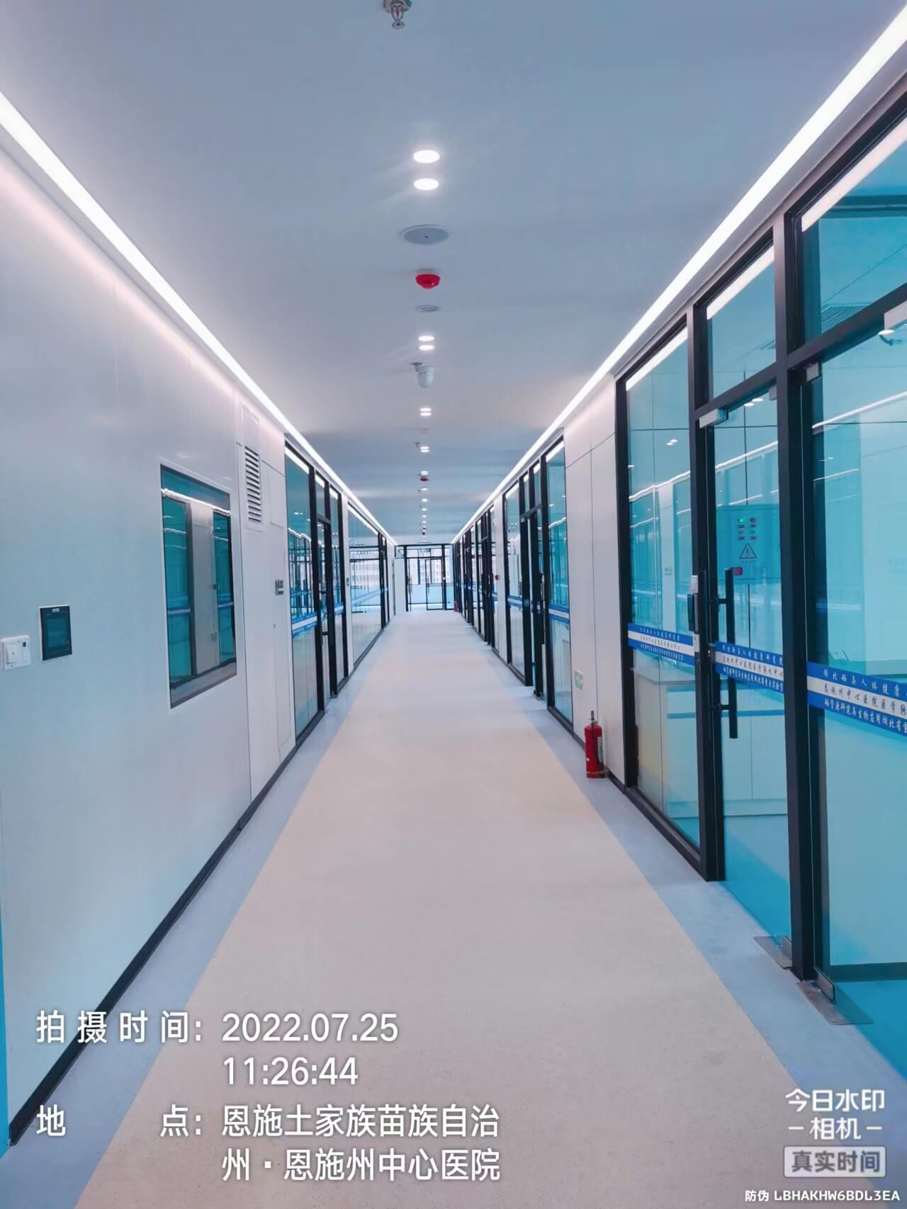 恩州中心医院湖北硒与健康研究院实验室设计、施工一体化项目 (53)