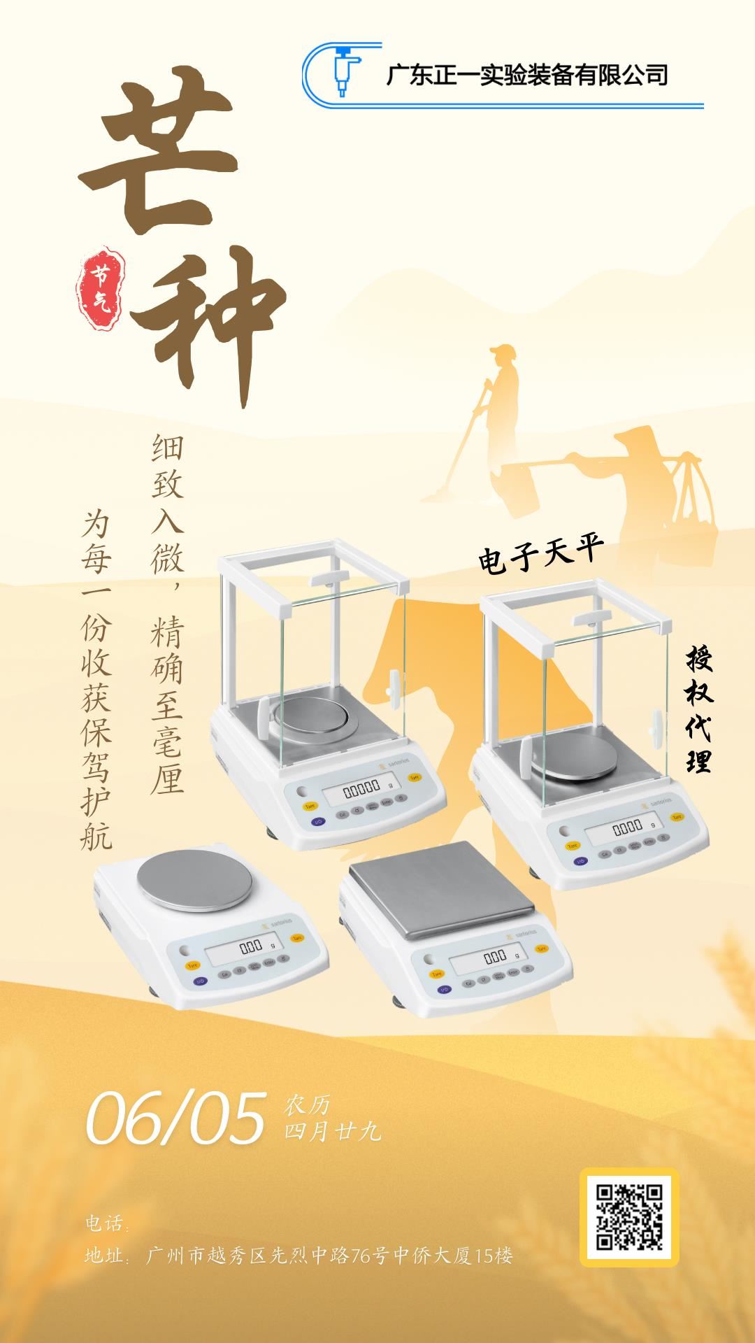 芒种手机海报